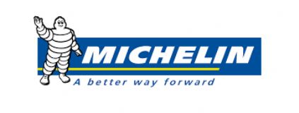 MS excel advanced at mullan training city centre belfast it courses michelin tyre plc