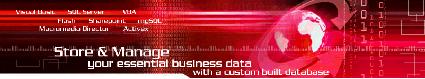 Custom database development in Belfast Northern Ireland with Mullan Technology