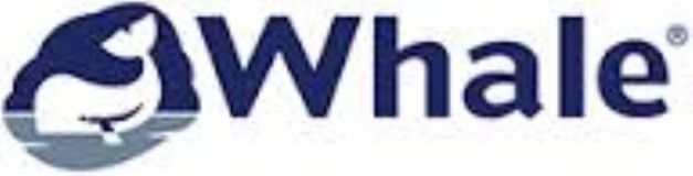 access introduction course belfast whale mullan training